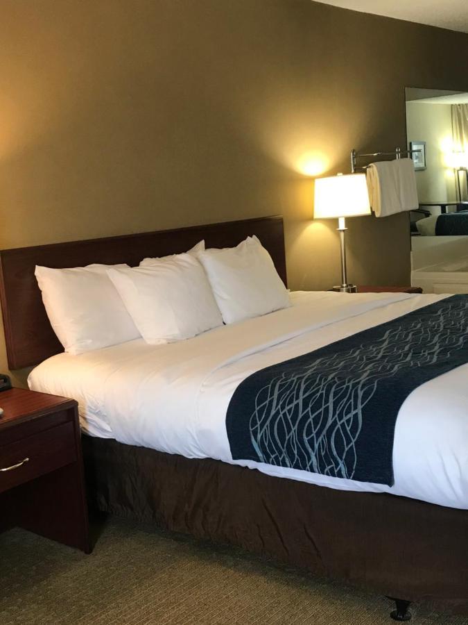 Hotel Comfort