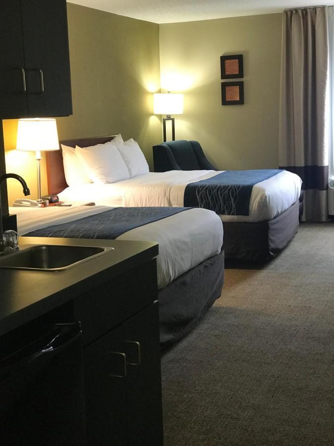 Comfort Hotel