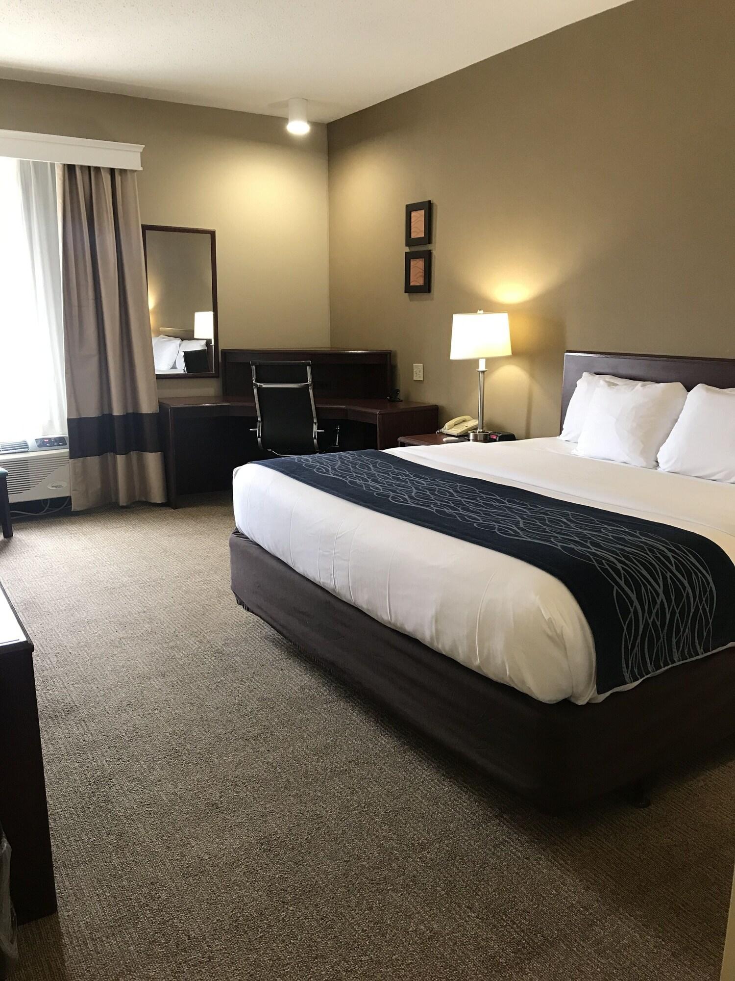 Comfort 2* Cambridge
