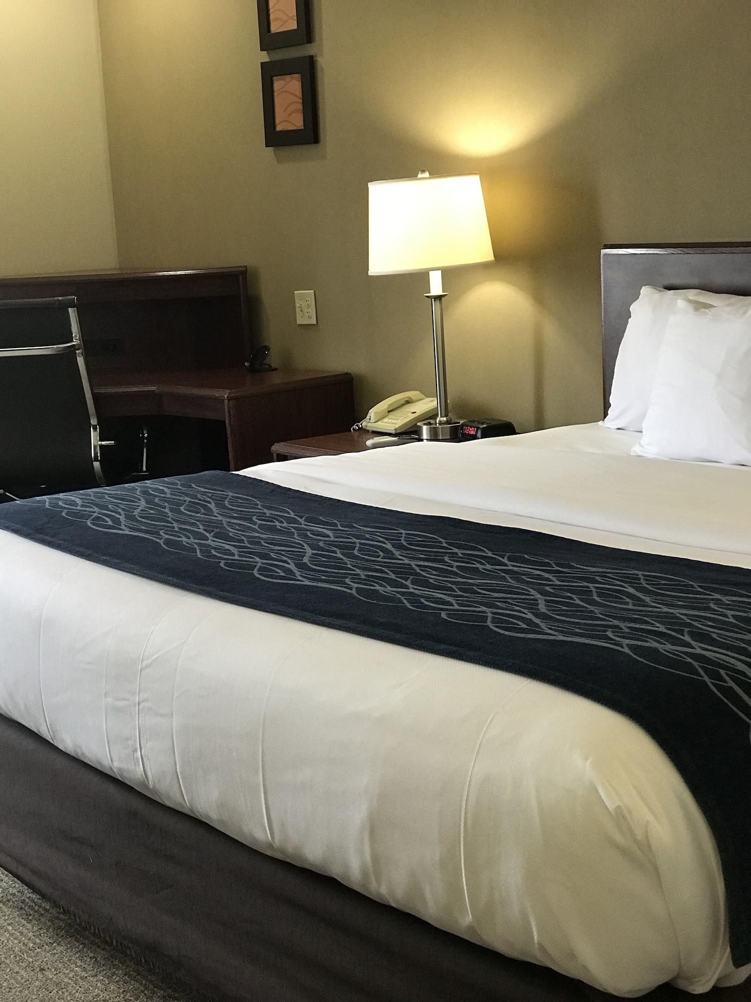 Comfort 2* Cambridge