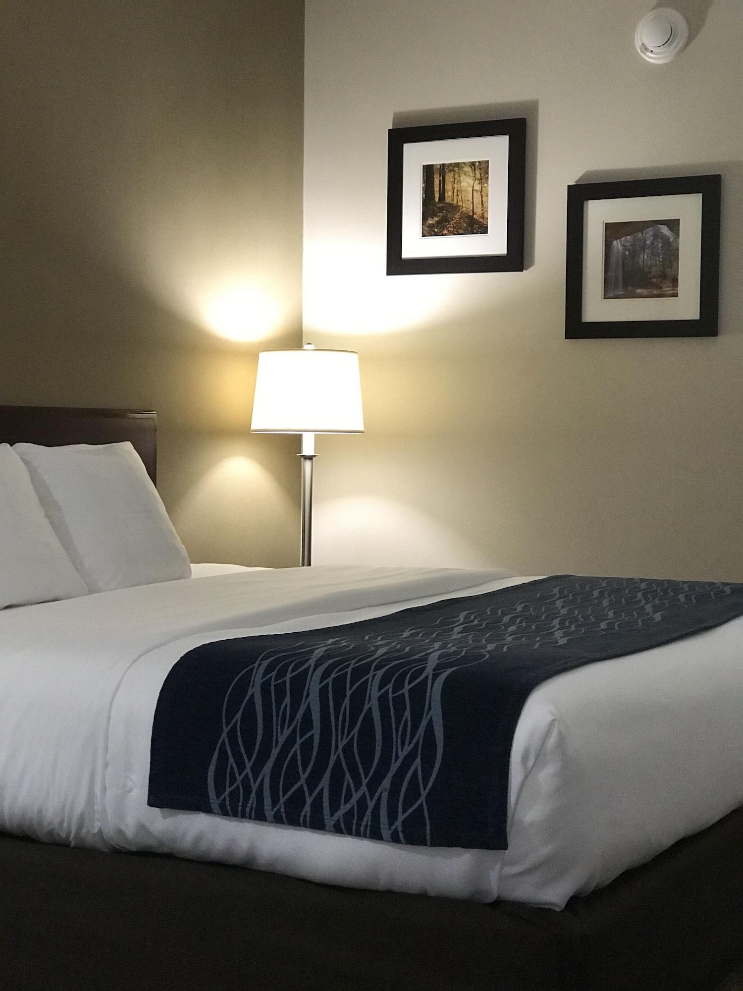 Comfort 2* Cambridge